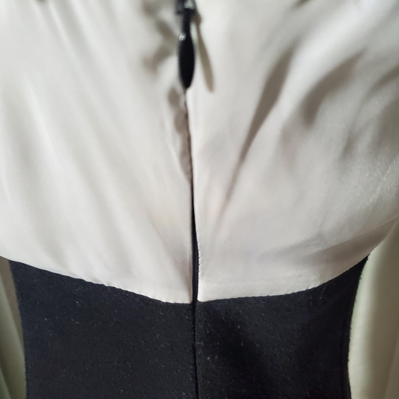 The Limited Black/Ivory Dress - Picture 4 of 4